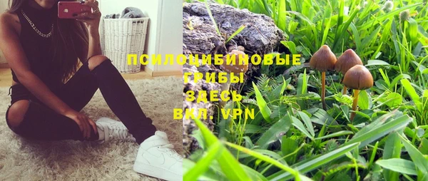 каннабис Аркадак
