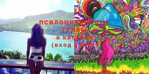 прущие грибы Костерёво