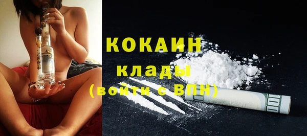гашик Коряжма