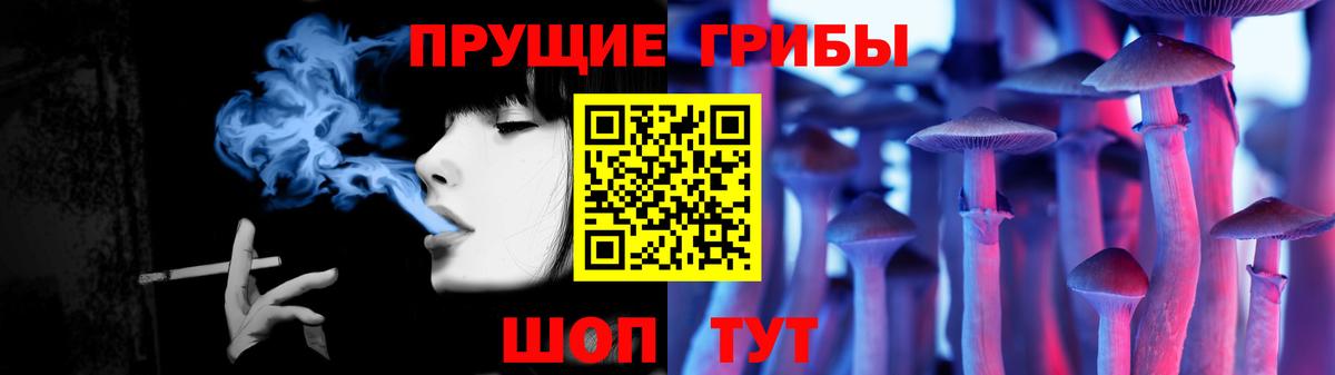 где купить   Вход с VPN  Волгодонск  Галлюциногенные грибы GOLDEN TEACHER 